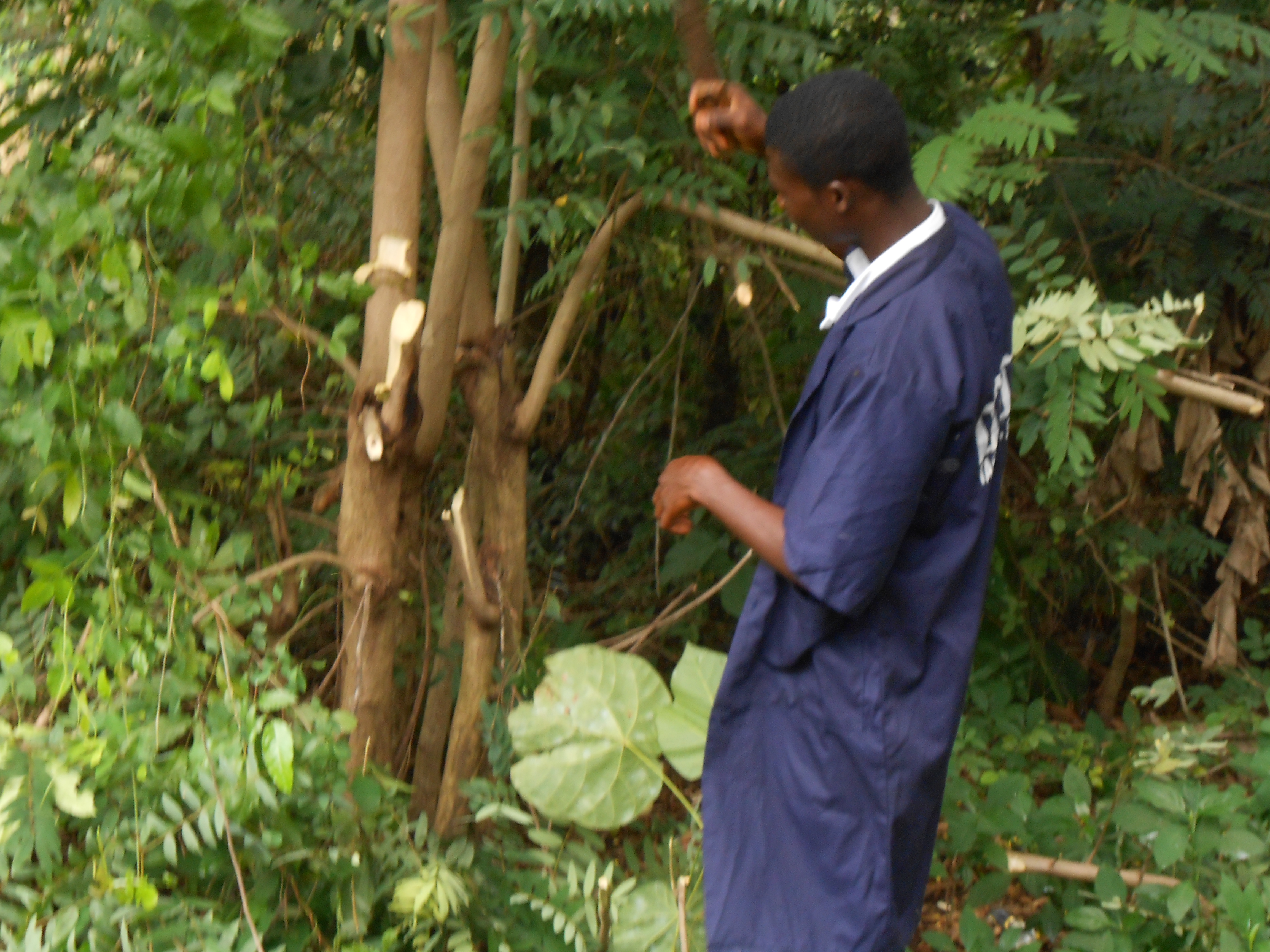 Agricultural Mechanic